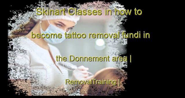 Skinart Classes in how to become tattoo removal fundi in the Donnement area | RemovalTraining | RemovalClasses | SkinartTraining-France